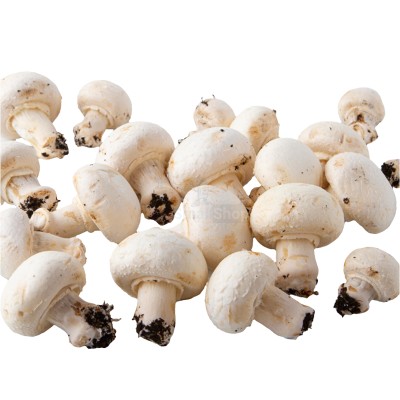 Шампиньоны свежие 500 г - купить в Новокиевке